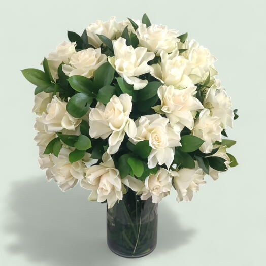 Белая мечта гардении