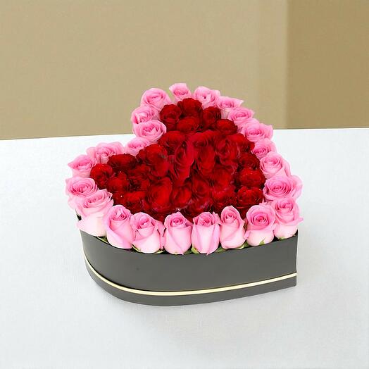 Красные и розовые розы