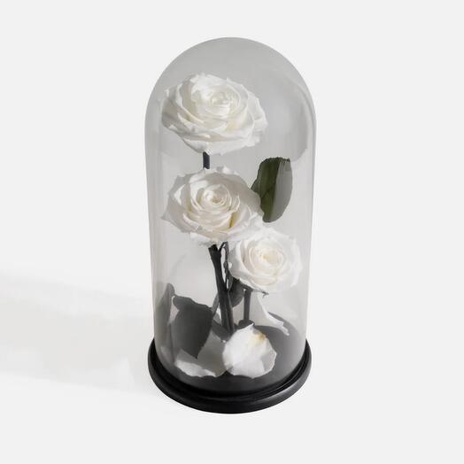 Трио Айвори