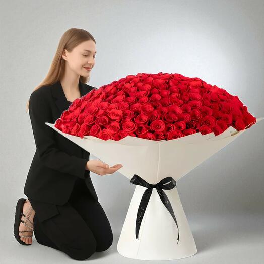 365 Красный Румянец Цветение