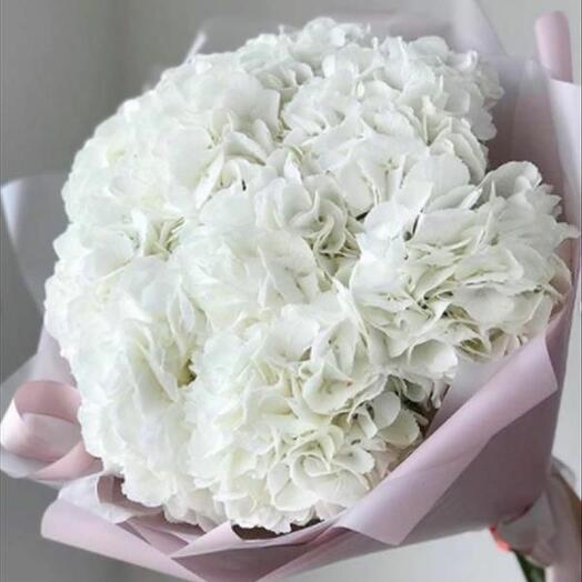 Hydrangea white bouquet (9 hydrangea white)