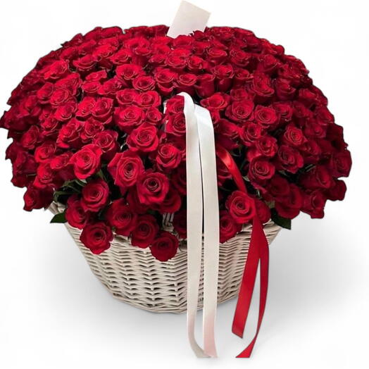 🌹Océano de 451 rosas