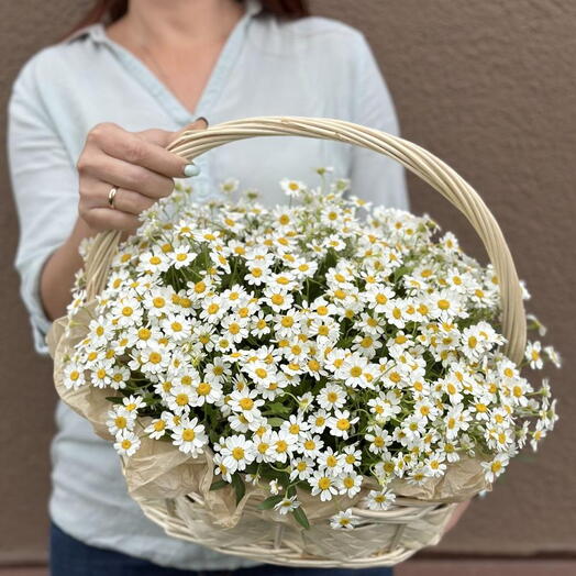 Мини-счастье