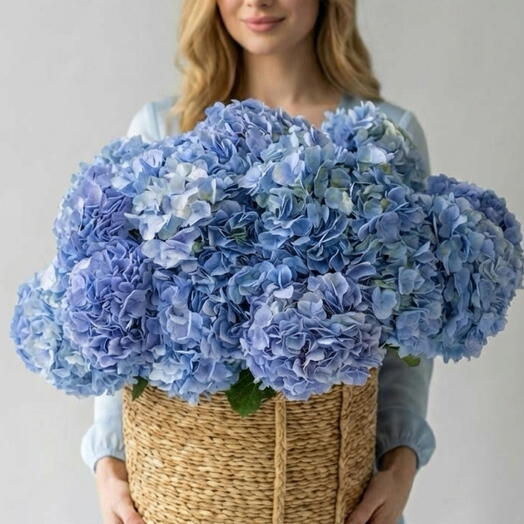Hydrangeas Lake in basket