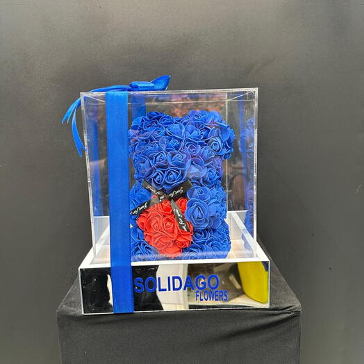 BLUE TADDY WITH ACC 25-20 BOX