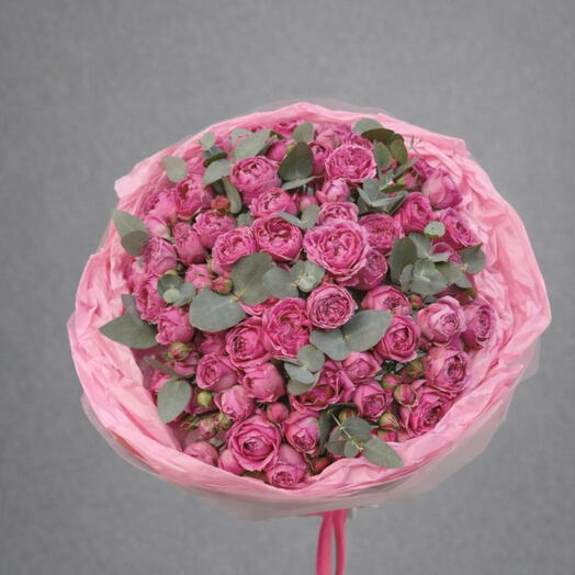 Piones bebe rose (31pis)