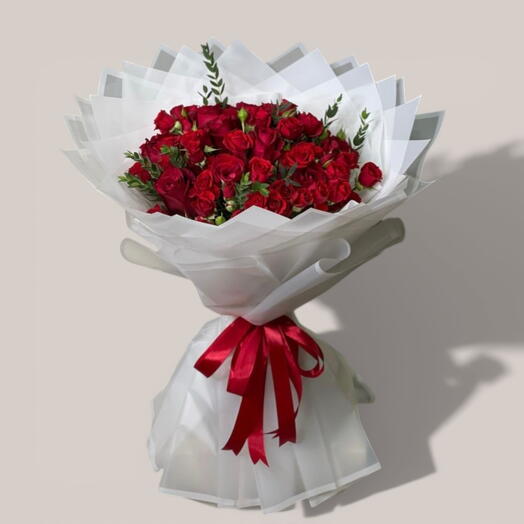 GGemini dijo Ramo Real de Terciopelo