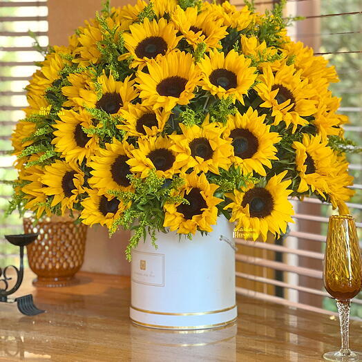 Sunshine Sunflowers