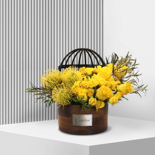 Alohi Lakewood Small