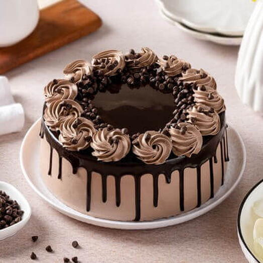 Chocolate cream cake