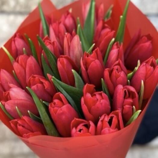 30 red tulips