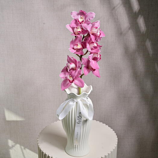 1 Pink Cymbidium Orchid in Ceramic Vase  6626