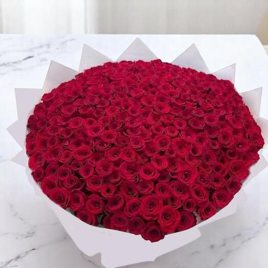 Lovelorn Grand Red Rose Bouquet – 150 Red Roses in White Wrapping for Romantic Occasions, Luxury Floral Gift