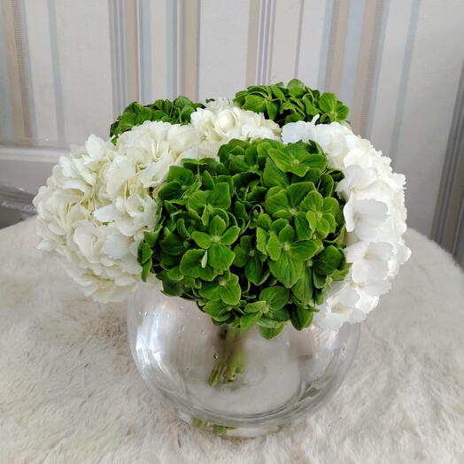 Elegant Hydrangea Duo in Vase