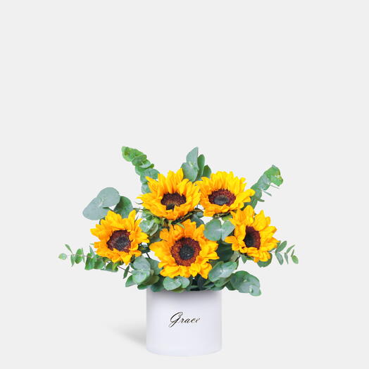 Sunflower in Small Box