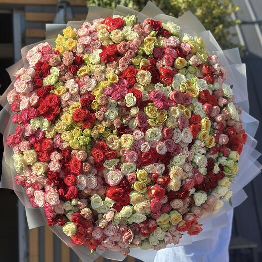 Premium spray roses 1