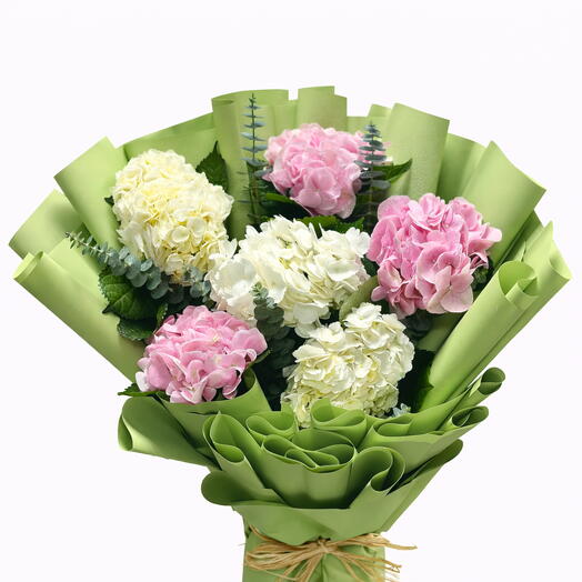 Hydrangea Mix Bouquet – 6 Stems