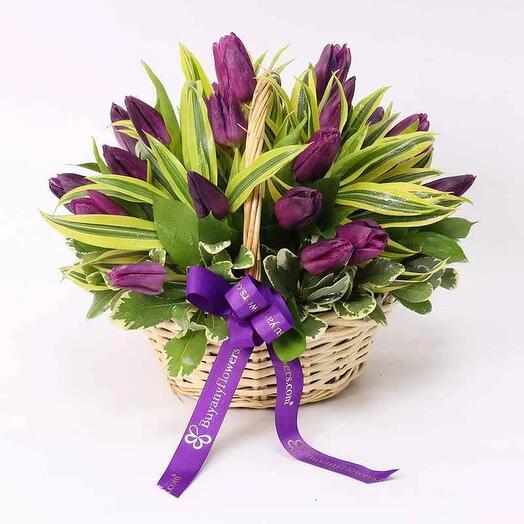 Фиолетовый лес корзина из 25 тюльпанов