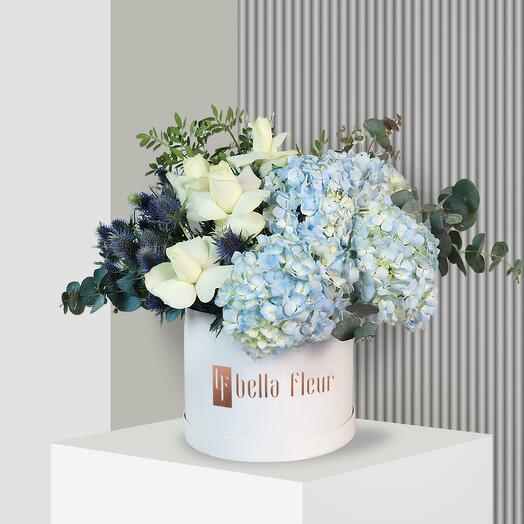 Serenity Bella Box - Large