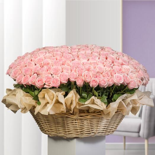 333 Light Pink Roses