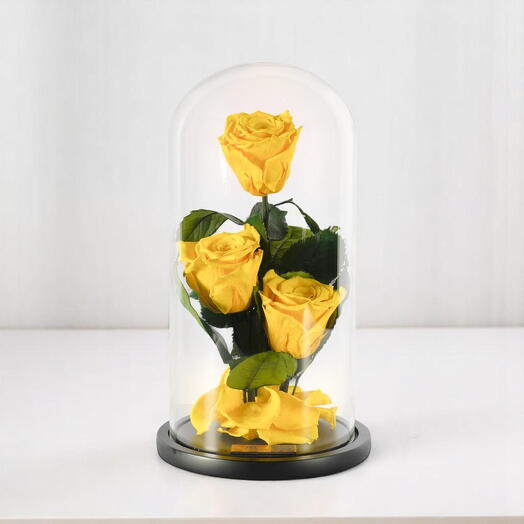 Yellow Preserved Roses in Glass Dome Trio