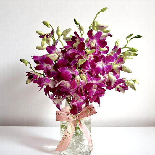 Orchid Elegance Vase | 11 Premium Orchids in a Sleek Glass Display