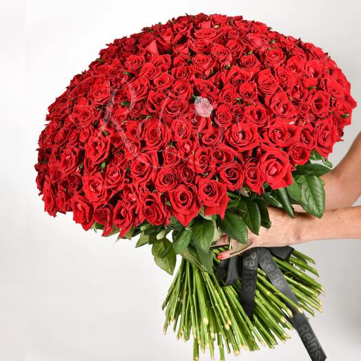 50 Beautiful Red Roses