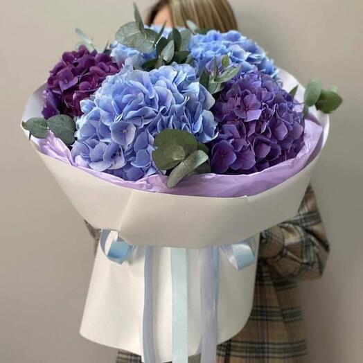 Сумеречная гортензия