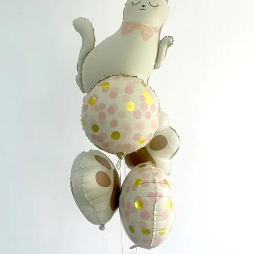Cat balloons (5pic )