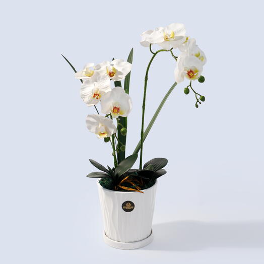 Искусственная белая орхидея фаленопсис