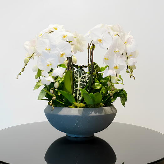 Тема тропического леса - экологичная ваза со свежими цветами