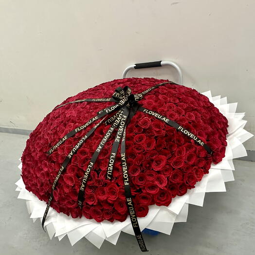 1001 Red Roses
