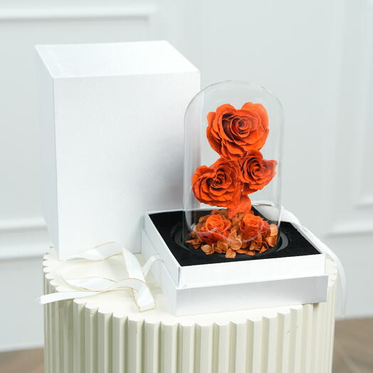 Fellora Premium Rosas Infinity Naranja 7535