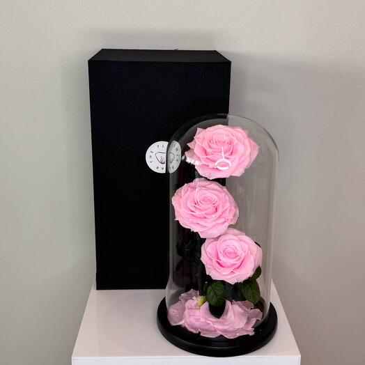 Forever Rose rosa (3 tallos)