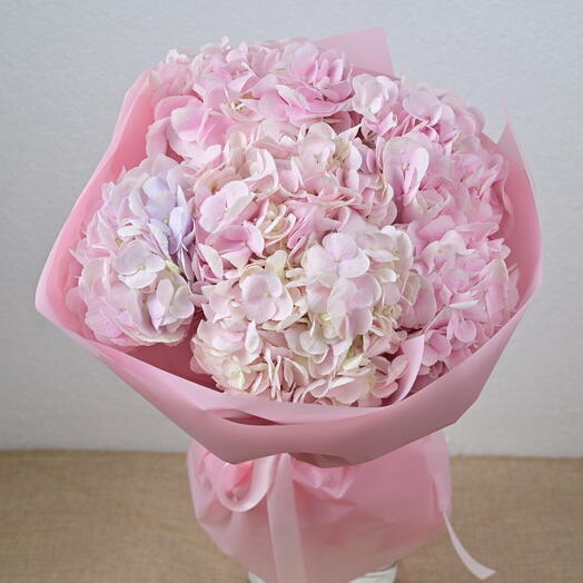 5 Pink Hydrangeas-1922