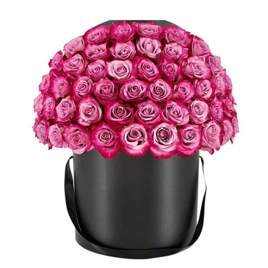 Rosa púrpura intensa