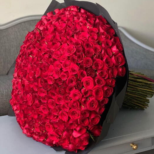 Роскошный букет из 500 роз размера XXXL
