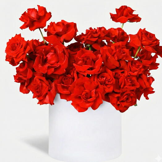 Коробка красных роз – 50 свежих красных роз