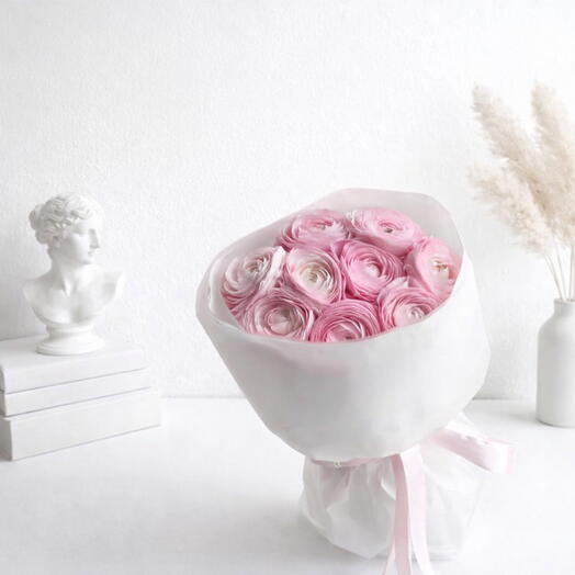 Pink Ranunculus Whisper