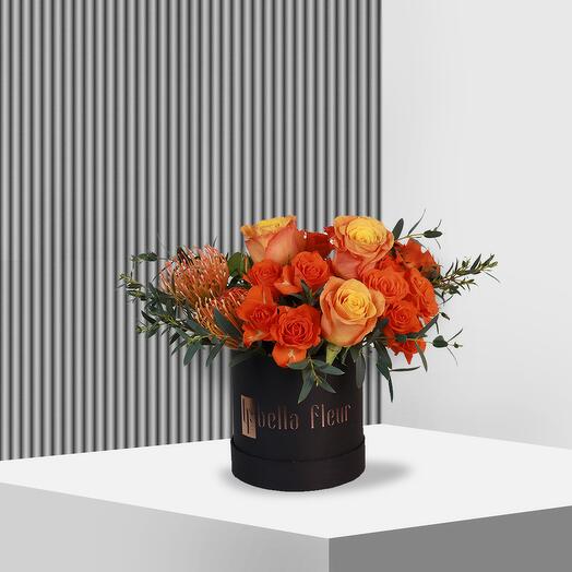 Siena Bella Box - Small