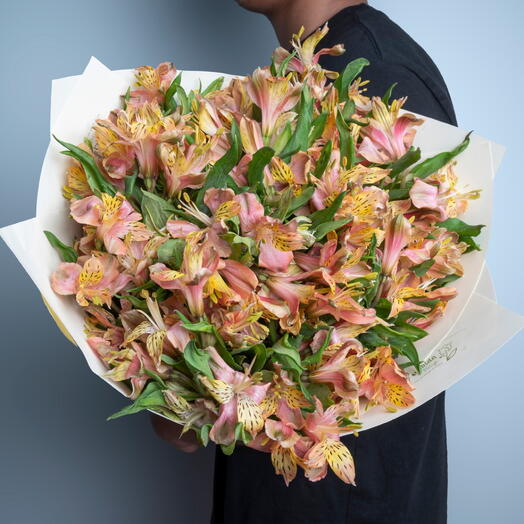 19 Alstroemerias-6020