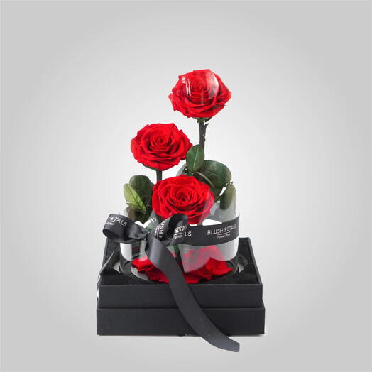 Вечная роза красная тройная