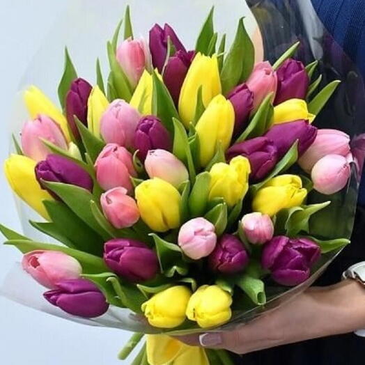 49 тюльпанов микс