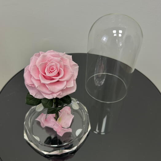 Eternal Preserved Pink Rose in Glass Dome – Long-Lasting Real Rose Gift for Birthdays   Anniversaries