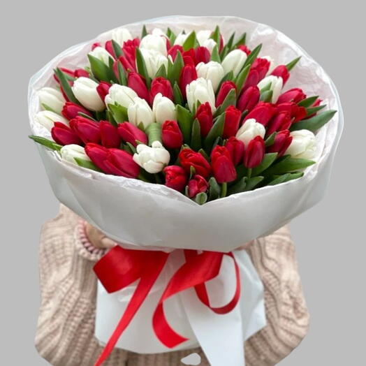 Моно-букет премиум из 51 красно-белого тюльпана