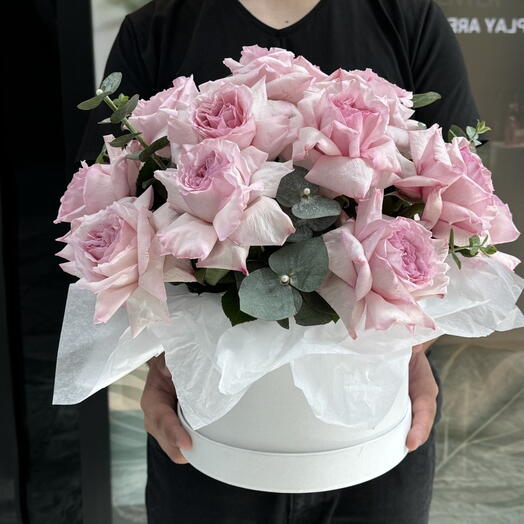 Fais de beaux rêves