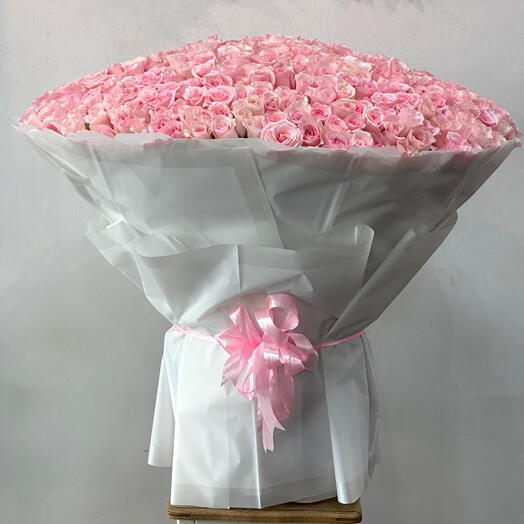 Paraíso Rosa Floreciente