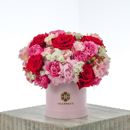 SUGAR N SPICE BOX COUTOURE