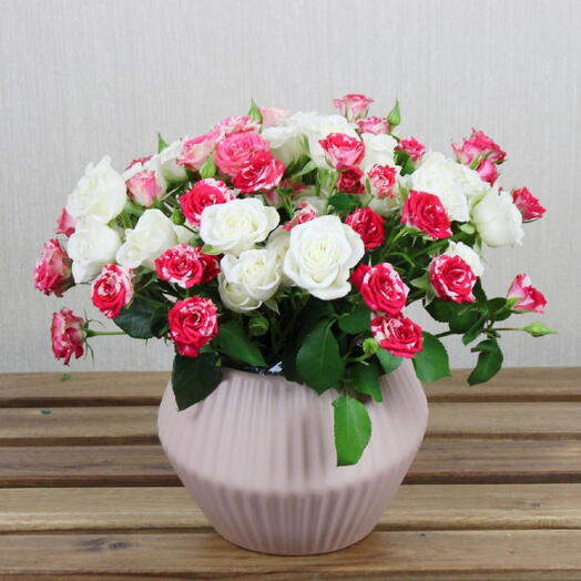 Spray rose Ceramic Vase 1140