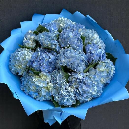 Sky Blue Elegance – 15 Blue Hydrangeas Wrapped in Royal Blue